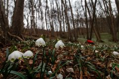 1_Maerzenbecher-7