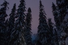 Schnee