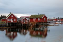 Lofoten_15